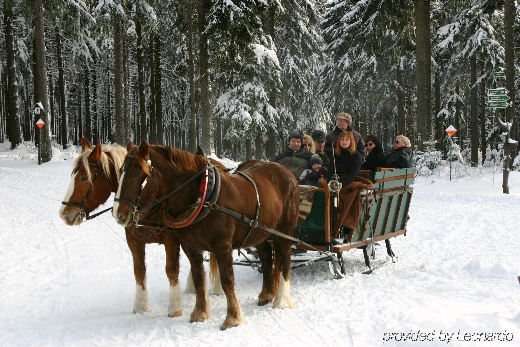 Wagners Sporthotel Oberhof Kültér fotó